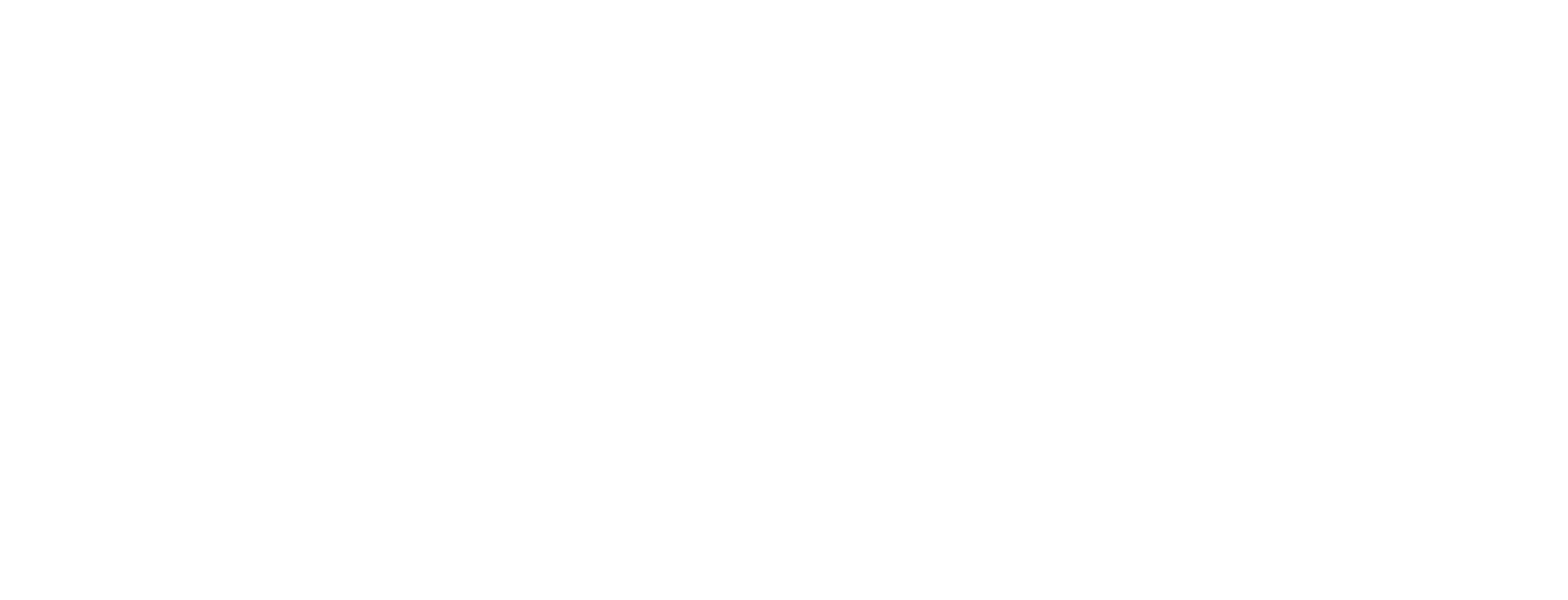 Logo Nextline
